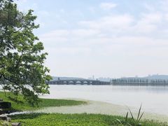 -东湖落雁景区