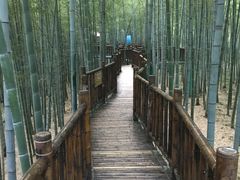 -陶祖圣境风景区