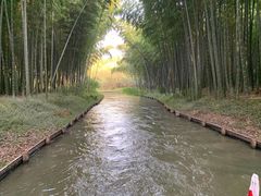 -同里国家湿地公园