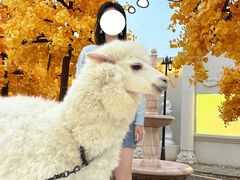 -Blue Concept Cafe&Farm·關於藍