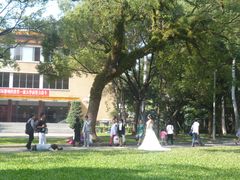 -中山大学学者灵芝(园南路店)