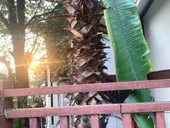 -拾光音乐餐酒吧(告庄星光夜市店)