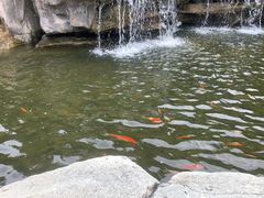 -浙江安吉JW万豪酒店·万豪中餐厅