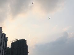 -栖露营camping·天幕烧烤·团建拓展·采摘营地