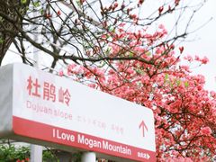 -莫干山风景区