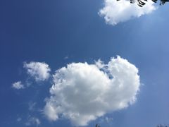 -韩湘水博园