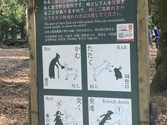 -奈良公园