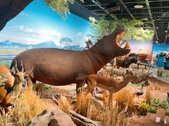 -陕西自然博物馆