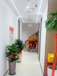 -幼泡泡连锁美容医疗