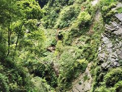 -龙水峡地缝景区
