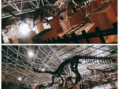 -世界恐龙谷景区