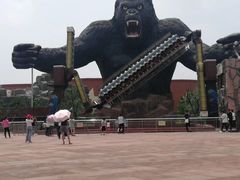-太阳部落