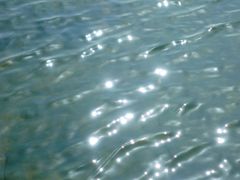 -滆湖低碳生态公园