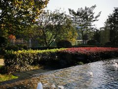 -万达瑞华酒店美食汇自助餐厅(楚河汉街店)