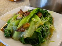 生菜油麦菜大白菜-百利鸽王(紫薇路店)