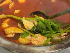 -重庆特色冷锅鱼(武大店)