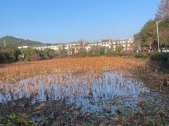 景点-潜口民宅博物馆