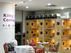 -小猫来了猫舍(福田店)