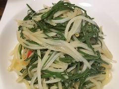 沙葱土豆丝-牧马人奶茶馆(乌兰察布总店)