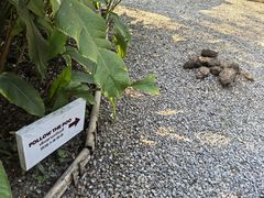 -大象粑粑造纸公园