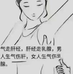 -香薇妮丝·定制减肥·身材管理