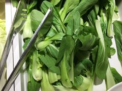 青菜-欢乐牧场(T12店)