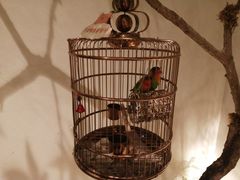 -小厨娘淮扬菜(六合欢乐港店)