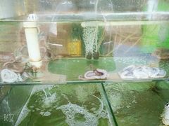 -四海鲜渔家菜(黄金海岸店)