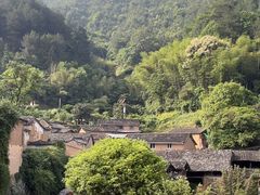 -杨家堂村