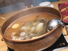 -打酱友•斑鱼海鲜粥火锅(吴桥店)