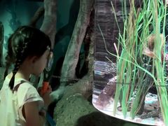 -沈阳海洋探索中心