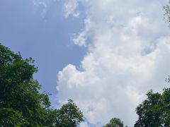-火炉山森林公园