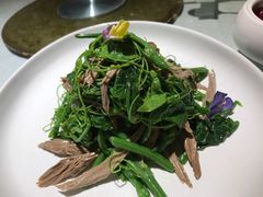 黑腐竹炝拌丝瓜尖-天和晟烤鸭店(玉泉西街店)