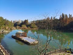 -潜山国家森林公园