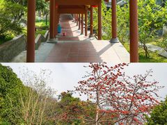 -广州神农草堂中医药博物馆