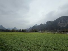 -明仕田园