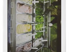 -鹤茶野所(上海首店)