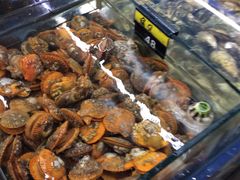 -明记海鲜大排档(巽寮湾店)