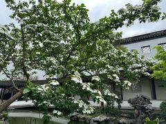 -秋霞圃