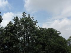 -火炉山森林公园