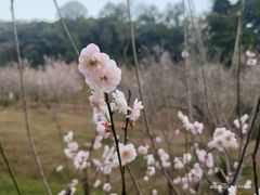 -广州市白云山风景名胜区