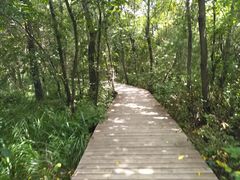 -青峰峡国家森林公园