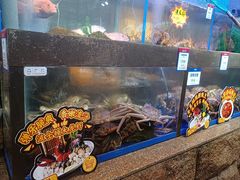 -大锅强·蒸海鲜青岛菜(金沙滩店)