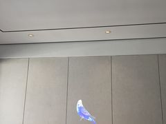-柏高·颂酒店(广州环市东路店)