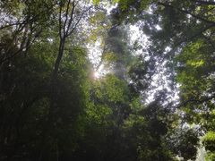 -三门江国家森林公园