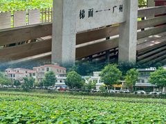 -红山村