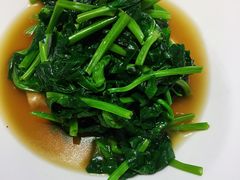 豆苗-茹·pure vegan(博华广场店)