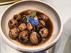 -沪碟·精菜坊(闵行店)