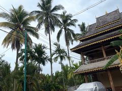 -西双版纳傣族园