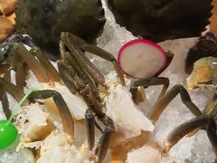 -尚海豆捞(乐虹坊店)